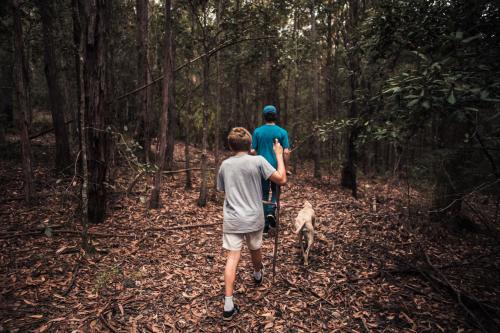 Boys and the dog in the bush - Australian Stock Image