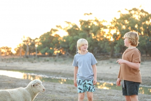 Boys chatting next to creek on farm with pet lamb nearby - Australian Stock Image