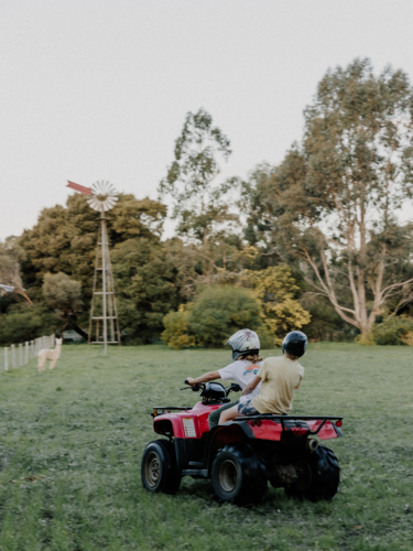 Boys on Quad Bike in farm paddock - Australian Stock Image