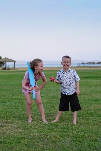 Brother and sister playing cricket in the park - Australian Stock Image