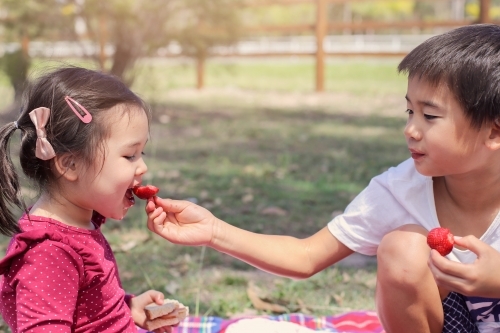 Brother giving his sister fresh strawberry - Australian Stock Image