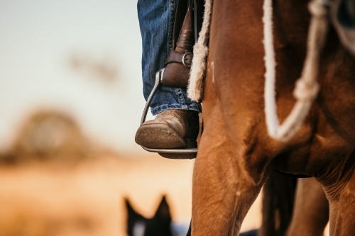 work boots close up horse riding - Australian Stock Image