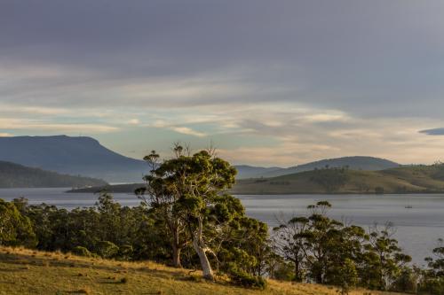 Bruny Island Landscape - Australian Stock Image