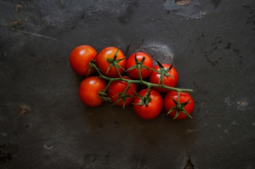 Bunch of vine ripened tomatoes on black background - Australian Stock Image