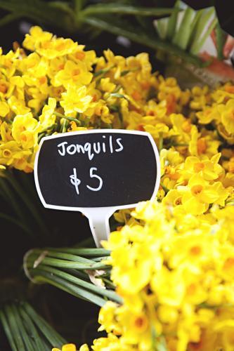 Bunches of yellow jonquils for sale - Australian Stock Image