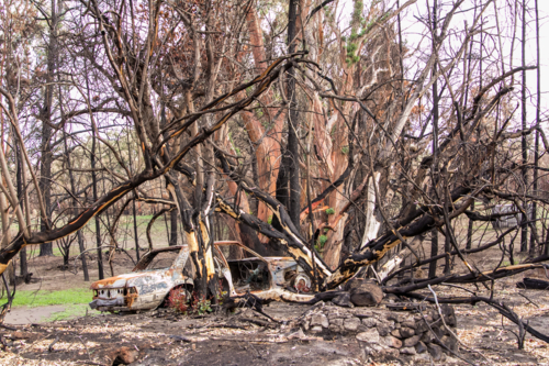 Burnt out car and bushland in aftermath of a bushfire - Australian Stock Image