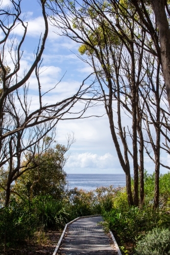 Bush boardwalk opening to ocean horizon - Australian Stock Image
