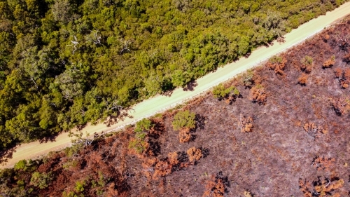 Bush fire aftermath drone shot in western Australia. One side of road healthy and green other burnt - Australian Stock Image