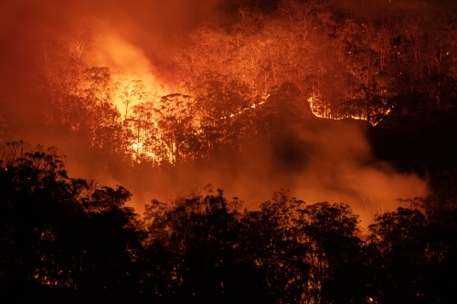 Bushfire at Night - Australian Stock Image