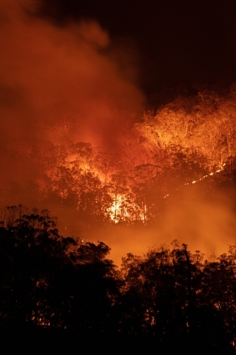 Bushfire at Night - Australian Stock Image