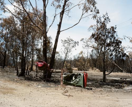 Bushfire ravaged landscape at farm entrance