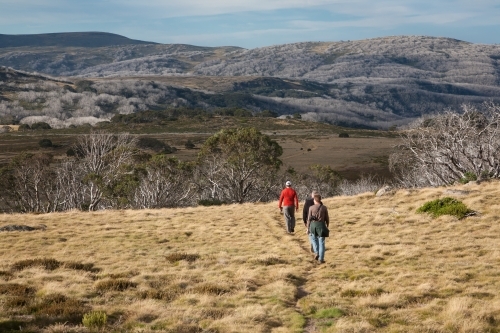 Bushwalkers walking into the distance across grassy terrain in the mountains - Australian Stock Image