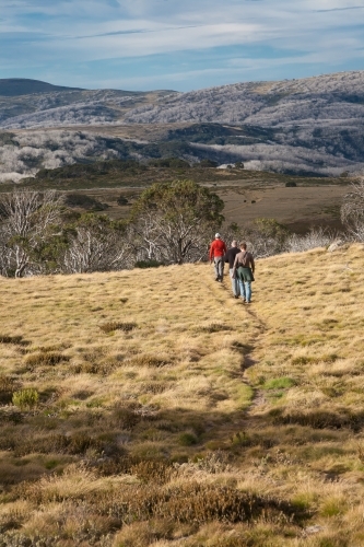 Bushwalkers walking into the distance across grassy terrain in the mountains - Australian Stock Image