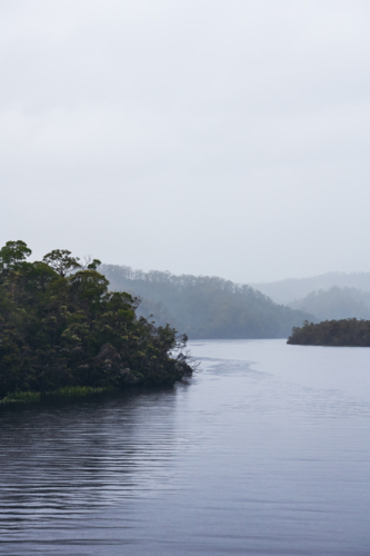 Calm waters on the Gordon River, Tasmania - Australian Stock Image