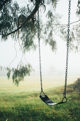 Chain and rubber swing hanging from a gum tree on a misty morning - Australian Stock Image