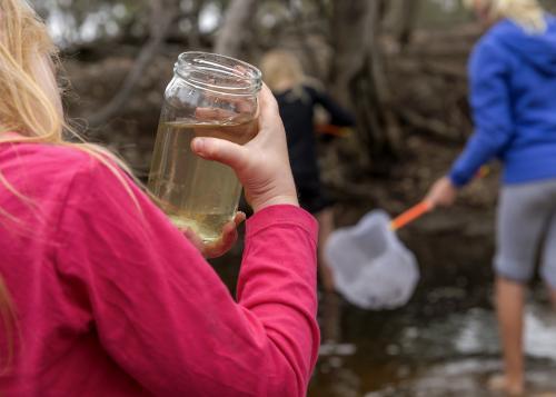 Child Holiding Jar of Tadpoles - Australian Stock Image