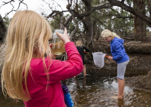 Child Looking at FIsh in Jar by the Creek - Australian Stock Image