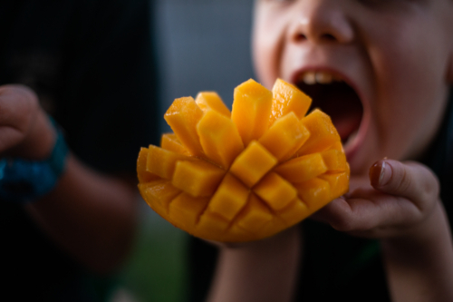 child taking a bite of fresh juicy mango - Australian Stock Image