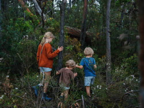 Children exploring Australian Bushland - Australian Stock Image