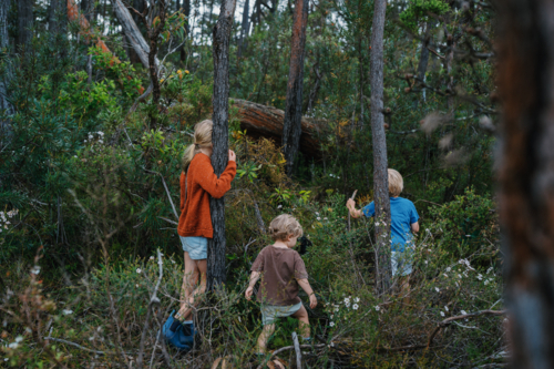 Children exploring Australian Bushland - Australian Stock Image