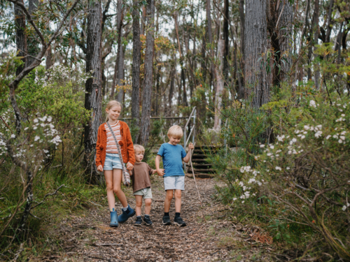 Children exploring Australian Bushland walking down trail together - Australian Stock Image