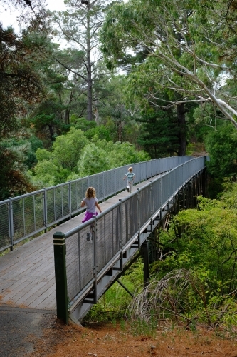 Children running across a bridge at Hepburn Mineral Springs Reserve - Australian Stock Image