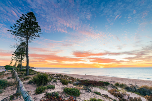 Christies beach with silhouette of a surfer with surfing board at sunset, South Australia - Australian Stock Image
