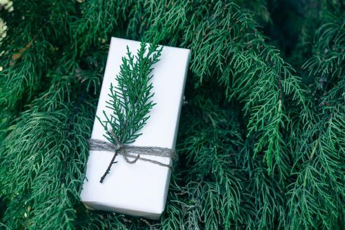 christmas gift of plain paper with pine sprig - Australian Stock Image