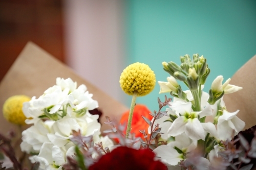 Close up image of a bunch of fresh cut cottage flowers - Australian Stock Image