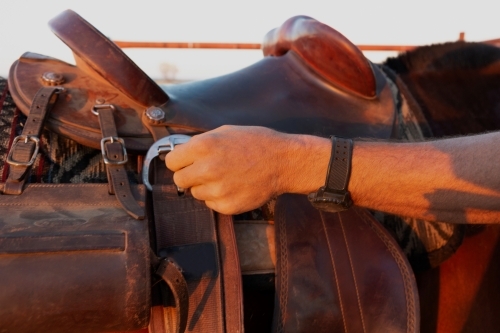 Close up of buckles being done up on horses tack - Saddling up - Australian Stock Image