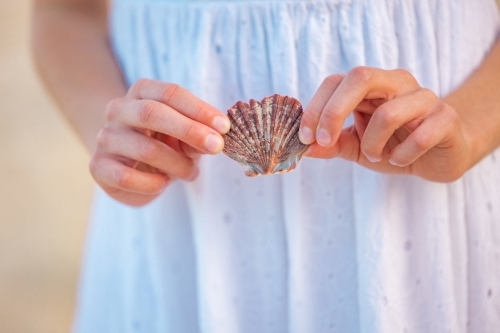Close up of little girl's hands holding shell close to dress on a summer beach holiday. - Australian Stock Image
