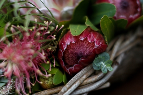 Close up of native floral arrangement in a wicker basket - Australian Stock Image