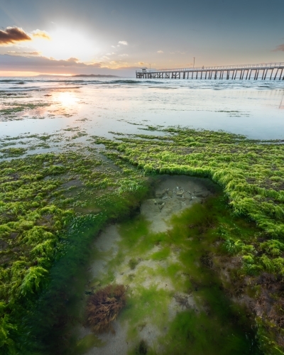 Close up shot of rock formation with moss during sunrise - Australian Stock Image