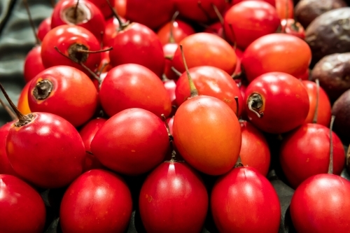 Closeup of a kind of uncommon fruit red Tamarillo. Tree tomato with sour sweet taste - Australian Stock Image