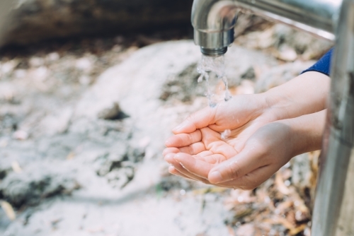 Closeup of tap water droped into woman hands - Australian Stock Image