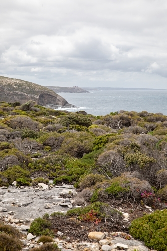 Coastal landscape with rocky terrain surrounded by dense shrubbery - Australian Stock Image