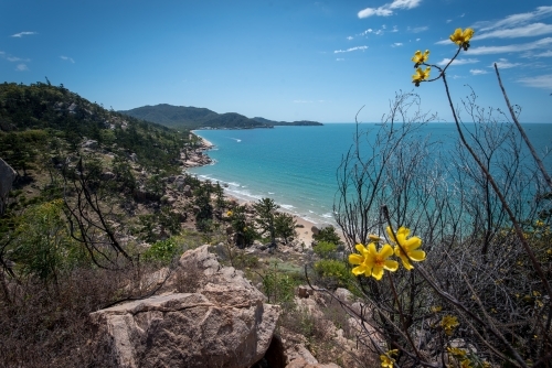 coastal landscape with rocky terrain, turquoise waters, and yellow flowers - Australian Stock Image