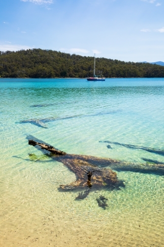 Cockle Creek - Australian Stock Image