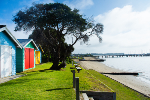 Colourful beach boxes and grass on beach on sunny day - Australian Stock Image