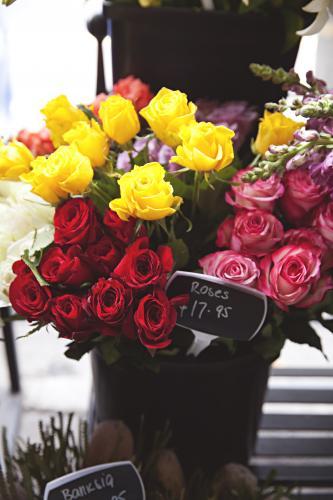 Colourful bouquets of roses for sale at florist - Australian Stock Image