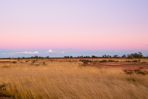 Colourful early evening landscape in desert country with straw coloured grasses - Australian Stock Image
