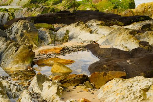 Colourful rocks and corals around a rock pool - Australian Stock Image