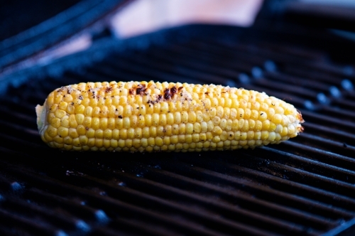 Corn on the Cobb on a BBQ - Australian Stock Image