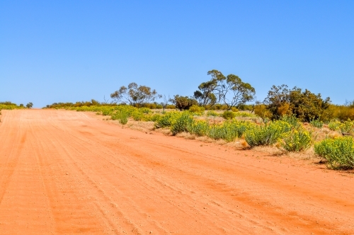 Corrugated dirt road - Australian Stock Image