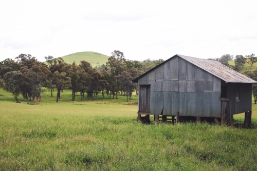Corrugated iron shed in green paddock surrounded by trees - Australian Stock Image