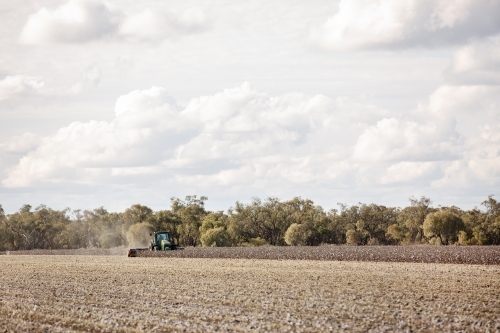 Cotton stubble being mulched - Australian Stock Image