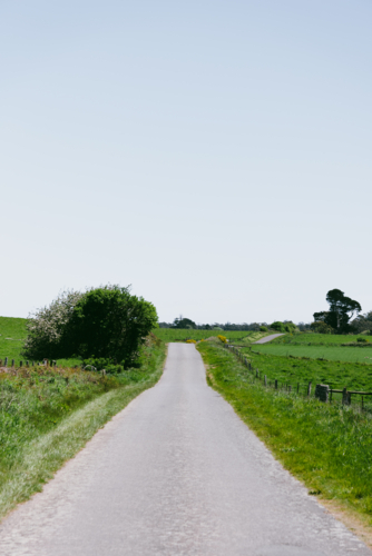 country road meandering into the horizon along green pastures - Australian Stock Image