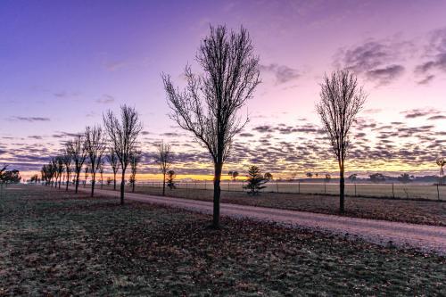 Country tree lined dirt road - Australian Stock Image