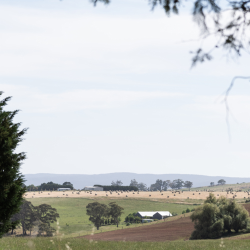 Country view of farming fields - Australian Stock Image