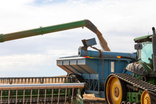 Crop harvest - Australian Stock Image